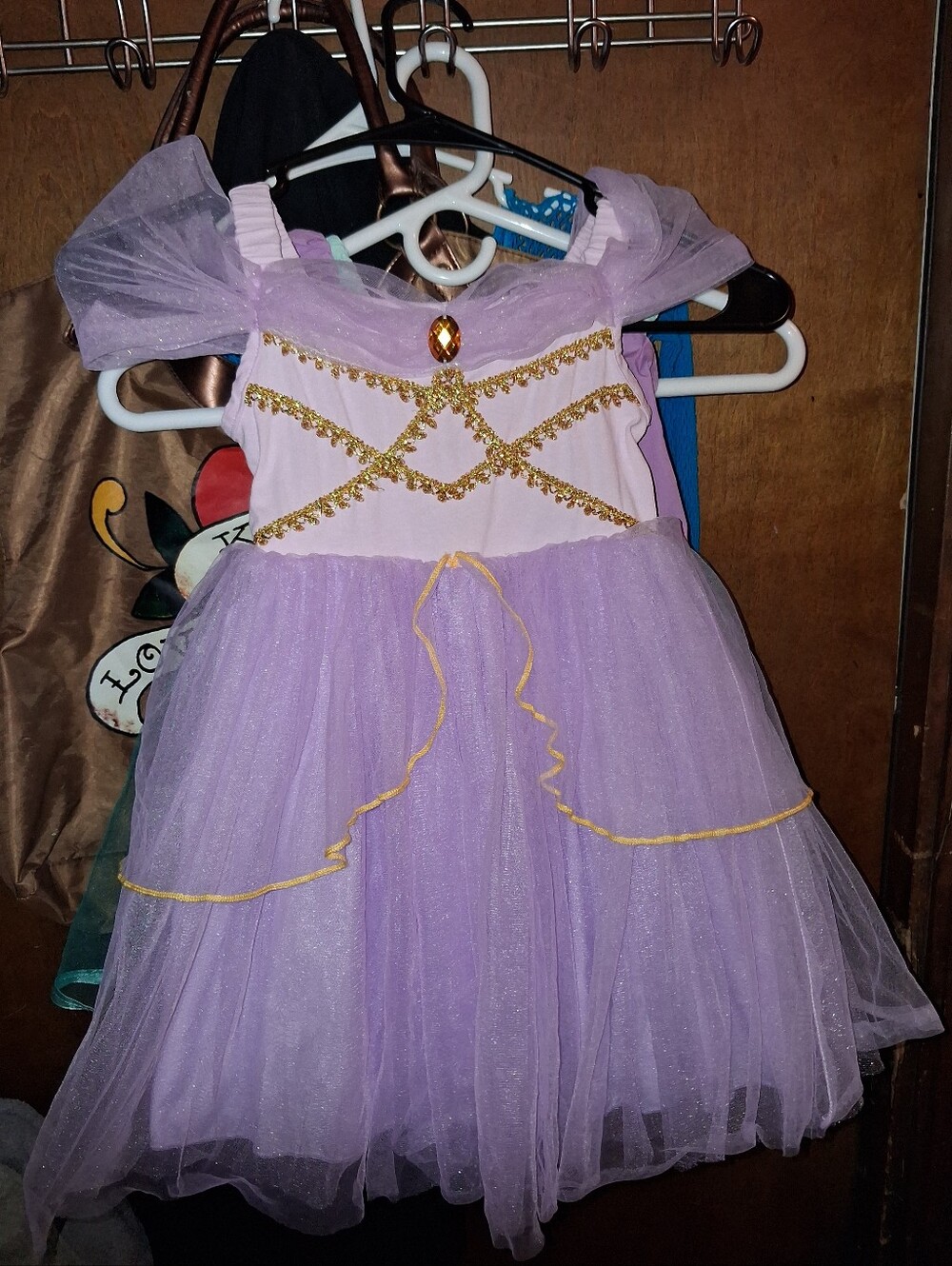 Dress Up Or Costume Dress